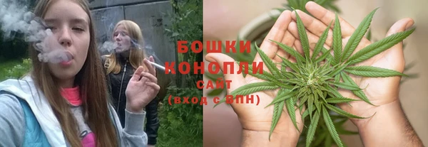 дмт Елизово