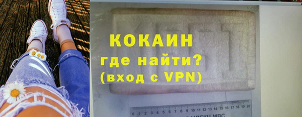 дмт Елизово