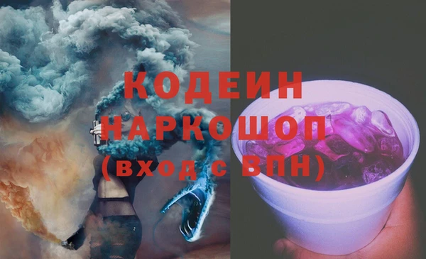 дмт Елизово