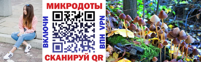 Купить закладки  Каменск-Шахтинский  Галлюциногенные грибы GOLDEN TEACHER 